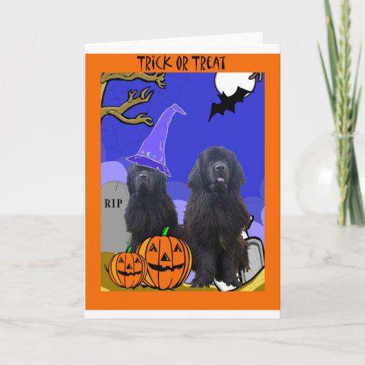 Newfoundland Dogs Halloween Kaart (Voorkant)