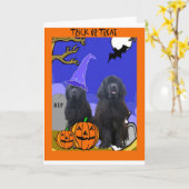 Newfoundland Dogs Halloween Kaart (Gele Bloem)