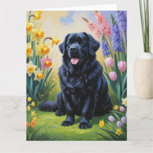 Newfoundland-hond lente bloemen schilderij kaart