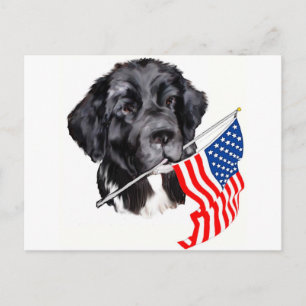 Newfoundland hond met vlag briefkaart