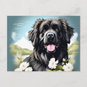 Newfoundland Hond met witte bloemen Briefkaart (Voorkant)