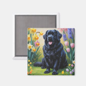 Newfoundland Hond Spring Bloemen Schilderen Magneet (Voorkant / Achterkant)