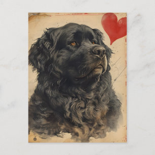 Newfoundland hond  Valentijnsdag Briefkaart