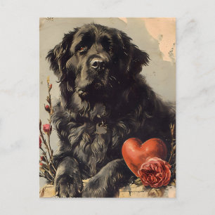Newfoundland hond  Valentijnsdag Briefkaart