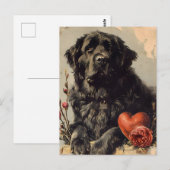 Newfoundland hond Valentijnsdag Briefkaart (Voorkant / Achterkant)