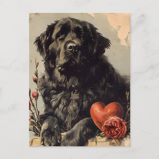 Newfoundland hond Valentijnsdag Briefkaart (Voorkant)