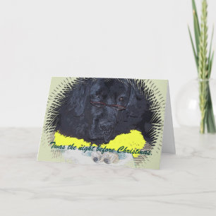 Newfoundland hond was de avond voor Kerstmis Feestdagen Kaart