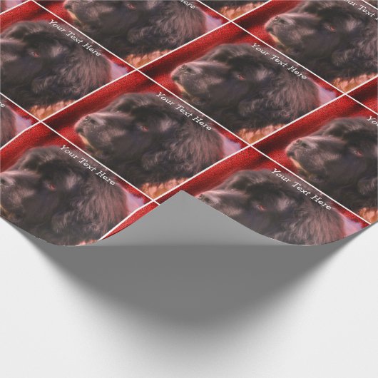 Newfoundland Hondengezicht gepersonaliseerd Cadeaupapier (Hoek)