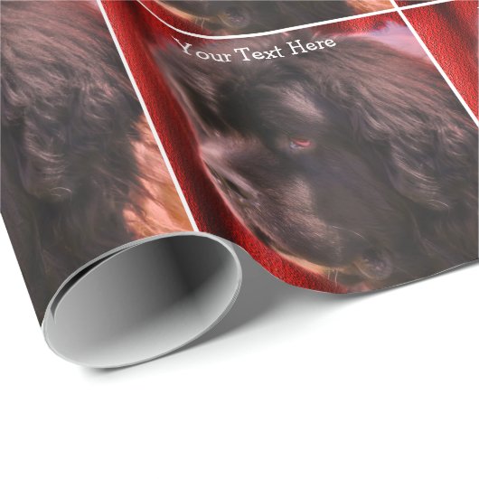 Newfoundland Hondengezicht gepersonaliseerd Cadeaupapier (Rol Hoek)