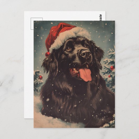 Newfoundland hondenkerst briefkaart (Voorkant / Achterkant)