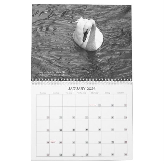 Newfoundland in Afbeelding: A Agenda 2013 Kalender (Jan 2026)