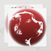 Newfoundland Invitalized Dog Kaart (Voorkant / Achterkant)