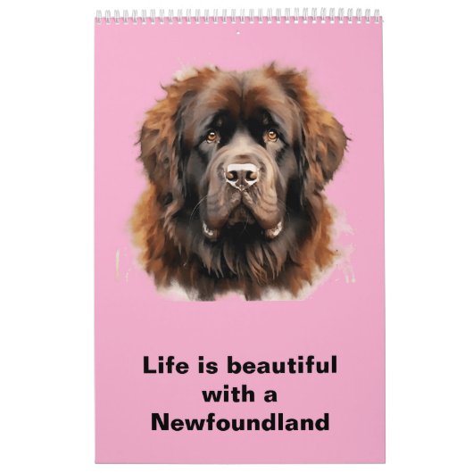 Newfoundland Kalender 2025 (Hoes)