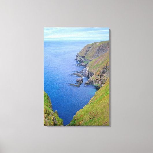 Newfoundland-kustlijn Canvas Afdruk (Voorkant)