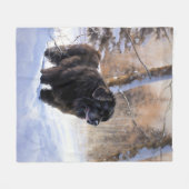 Newfoundland laat het sneeuwen Kerstmis Fleece Deken (Voorkant (Horizontaal))