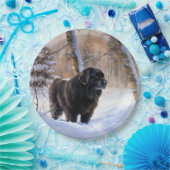 Newfoundland laat het sneeuwen Kerstmis Papieren Bordje (Feest)