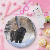 Newfoundland laat het sneeuwen Kerstmis Papieren Bordje (Feest)