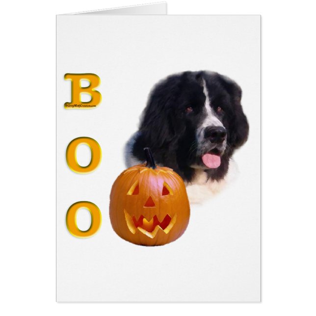 Newfoundland (landseer) Halloween Boo (Voorkant)