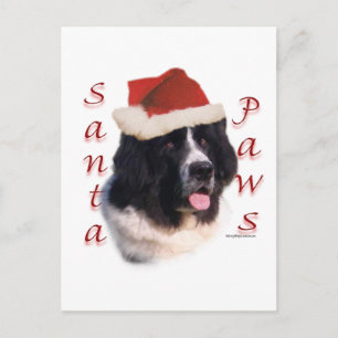 Newfoundland (landseer) Santa Paws Feestdagenkaart