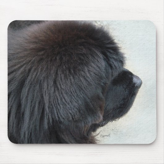 Newfoundland Muismat (Voorkant)