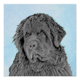 Newfoundland Painting - Cute Original Dog Art Perfect Poster