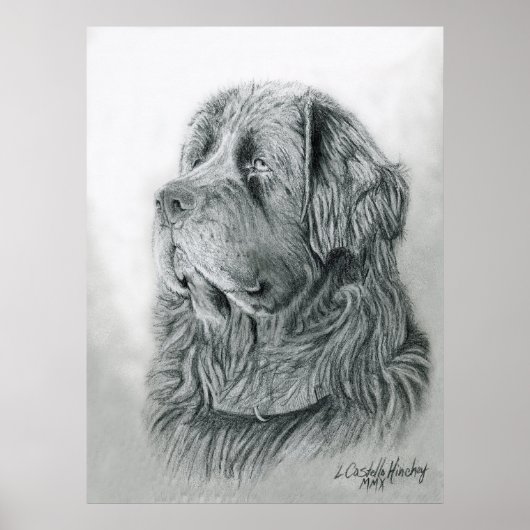 Newfoundland Portrait Poster (Voorkant)