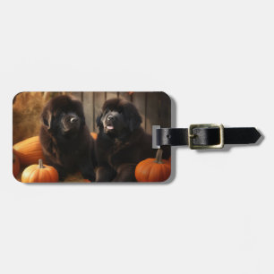 Newfoundland Puppy Herfstpracht Pompoen Bagagelabel