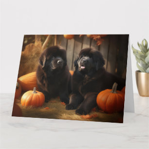 Newfoundland Puppy Herfstpracht Pompoen Kaart