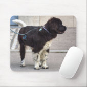 Newfoundland Puppy Muismat (Met muis)