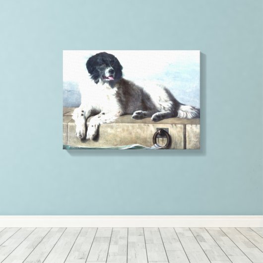 Newfoundland  schilderij canvas afdruk (Insitu (Houten vloer))