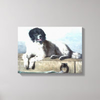 Newfoundland schilderij