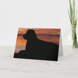 Newfoundland Sunset Sympathy Card Kaart