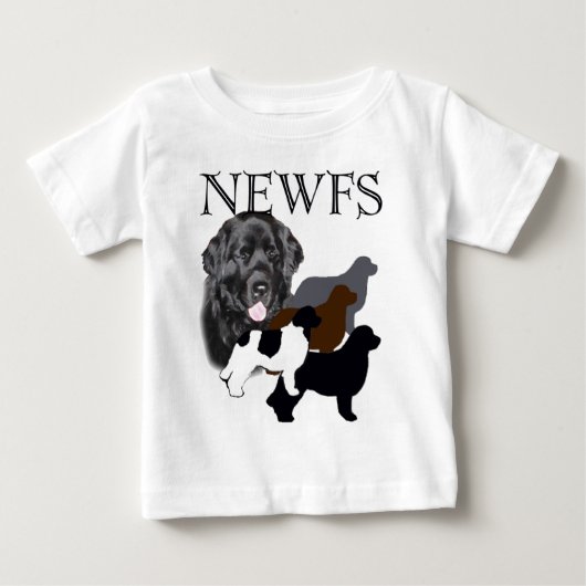 Newfoundland, vier kleuren (Voorkant)