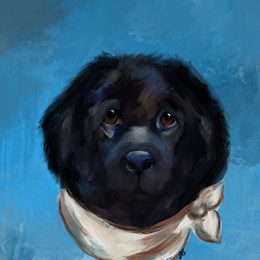 Newfoundlander                canvas afdruk