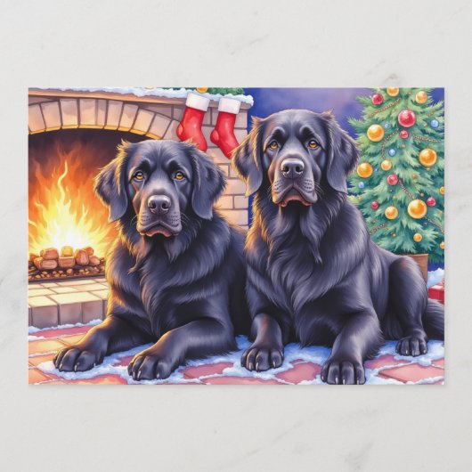 Newfoundlander Kerstkaart (Voorkant)
