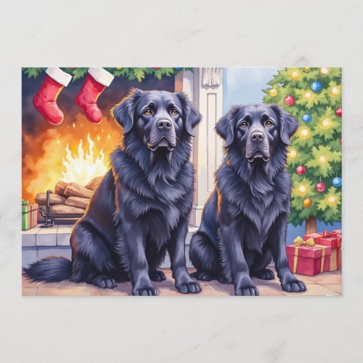 Newfoundlander Kerstkaart (Voorkant)