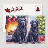Newfoundlander Kerstkaart (Voorkant / Achterkant)