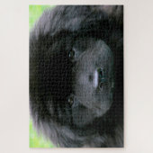 Newfoundlander. Legpuzzel (Verticaal)