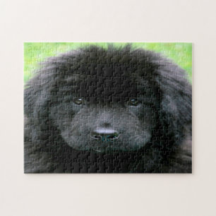 Newfoundlander. Legpuzzel