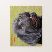 Newfoundlander. Legpuzzel (Verticaal)