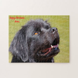 Newfoundlander. Legpuzzel
