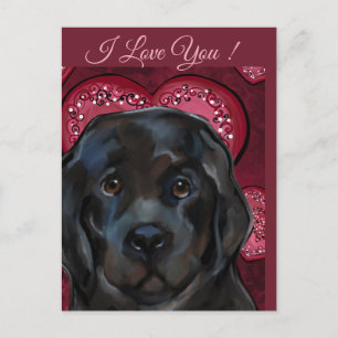 Newfoundlandhond   briefkaart