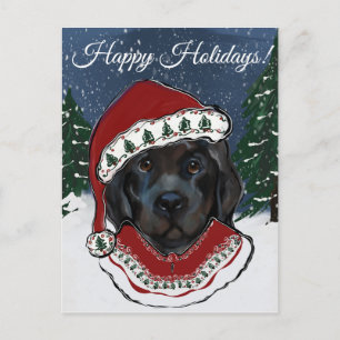 Newfoundlandhond   briefkaart