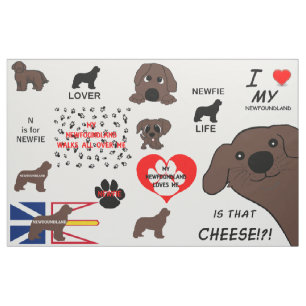 Newfoundlandhond Bruin Is Die Kaas Stof