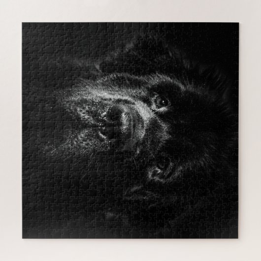 Newfoundlandhond Jigzaag puzzle Legpuzzel (Horizontaal)