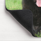 Newfoundlandhond Muismat (Hoek)