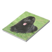 Newfoundlandhond Notitieblok (Gedraaid)