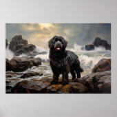 Newfoundlandhond Poster (Voorkant)