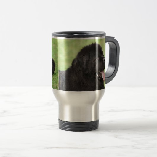 Newfoundlandhond Reisbeker (Voorkant rechts)