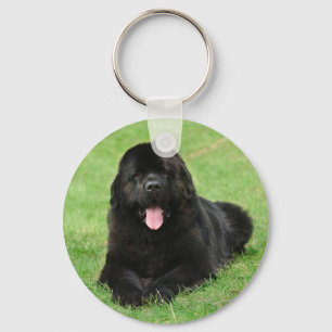 Newfoundlandhond Sleutelhanger